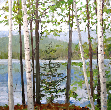 caption:Birches, Cooper Lake 1, 20” x 20”, oil painting by Elissa Gore, CW’73, GSFA’74.