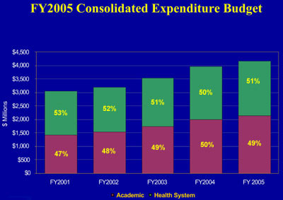 consolidated expenditure budget