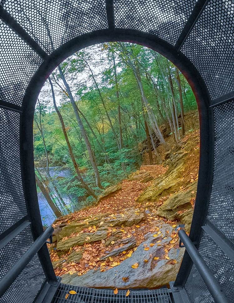 caption: Best in Show—Loren Berckey, Finger Bridge.