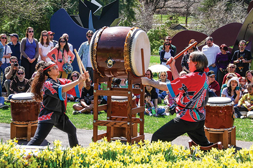 caption: There will be a drumming demonstration during this year’s Japanese Cherry Blossom Festival.