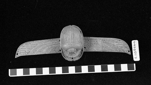 At-Home Anthro Live: Scarabs in Ancient Egypt