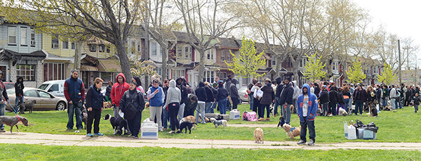 Penn Vet Shelter Medicine Symposium 2024