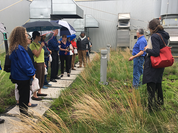 caption: The Penn Eco Reps went on a tour of the Singh Center for Nanotechnology's Green Roof.