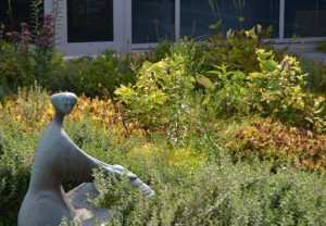 Fagin Hall Atrium Garden