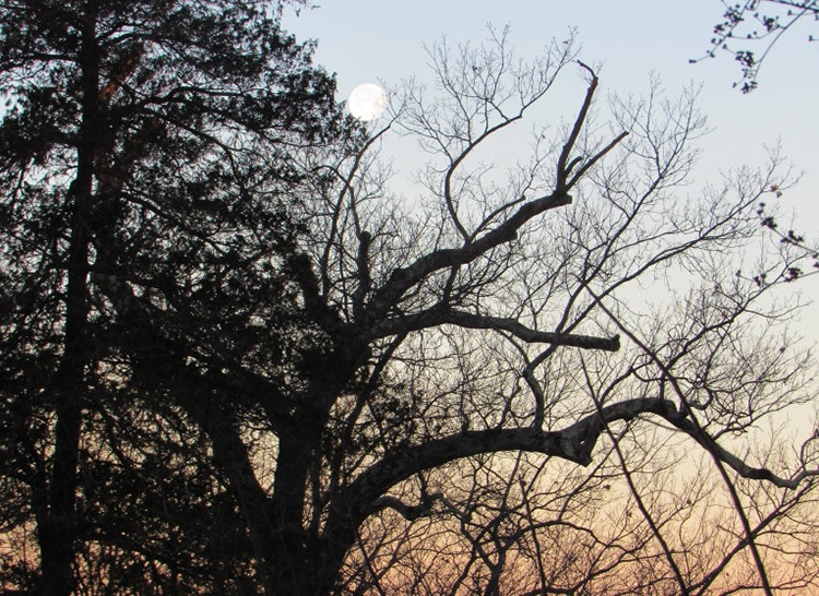 Winter Solstice Wander