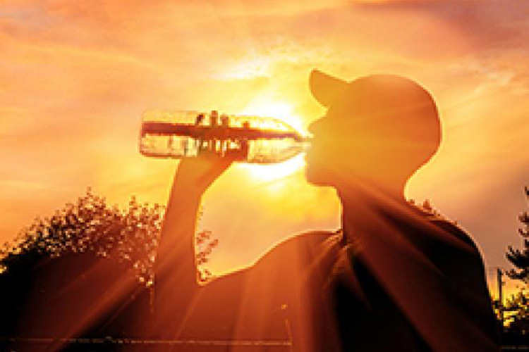 Extreme Heat Working Group Brown Bag Lunch