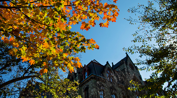 College of Liberal & Professional Studies