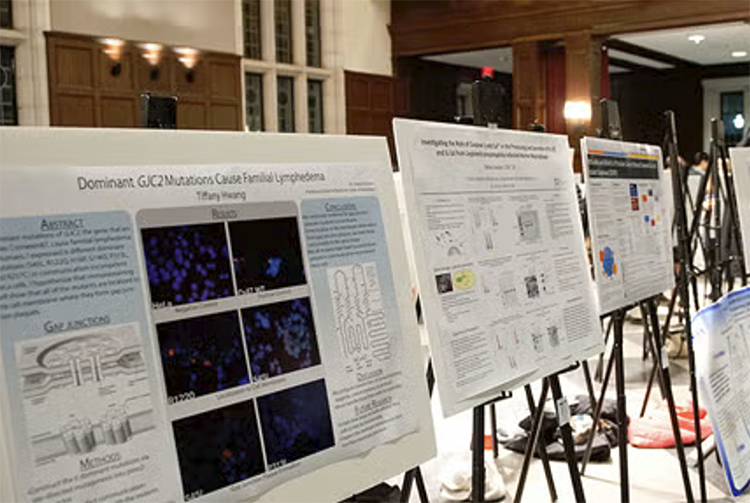 Research Poster Design