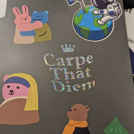 Vinyl Decals for Laptops and Computers