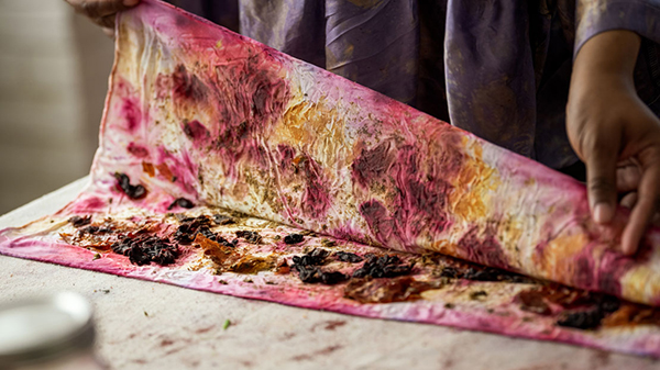 Botanical Alchemy and Bundle Dyeing at Penn Museum