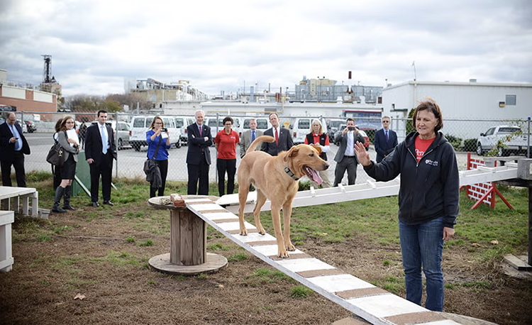 Working Dog Center Tour