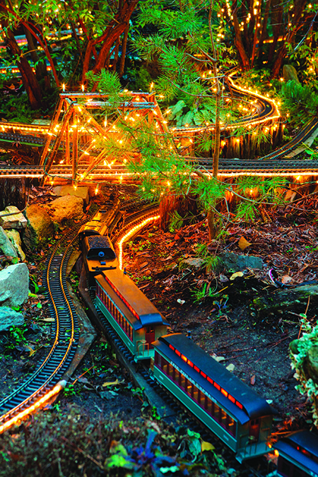 Holiday Garden Railway Nights