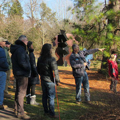 Morris Arboretum wellness walks