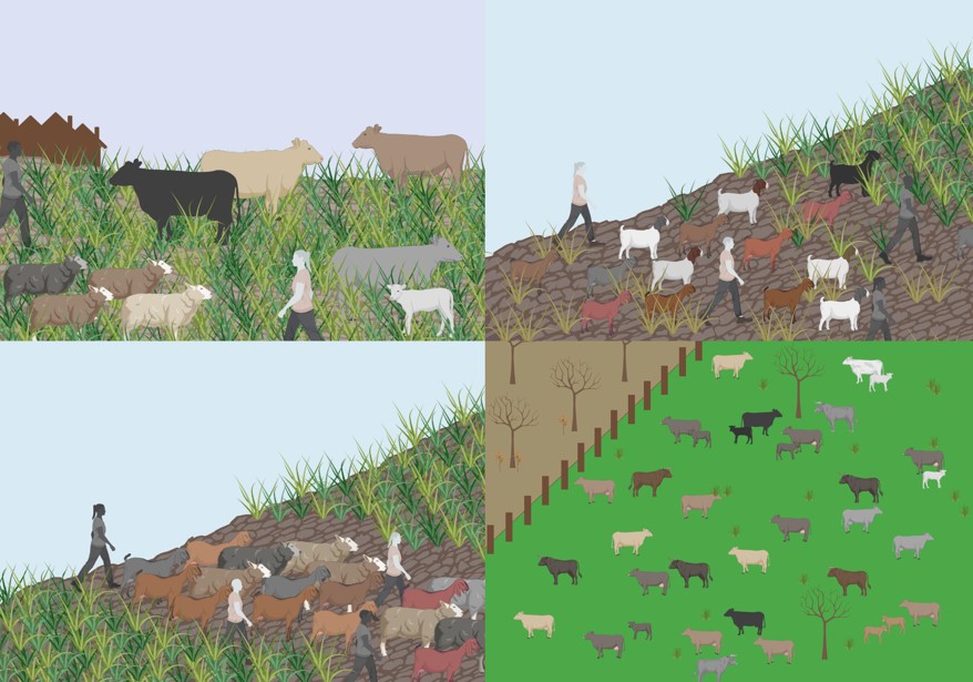 caption: The LandCover6k project uses a hierarchical classification system. This quartet show the subgroups of the “pastoralism” category. Image Courtesy Jennifer Bates, created with Biorender.