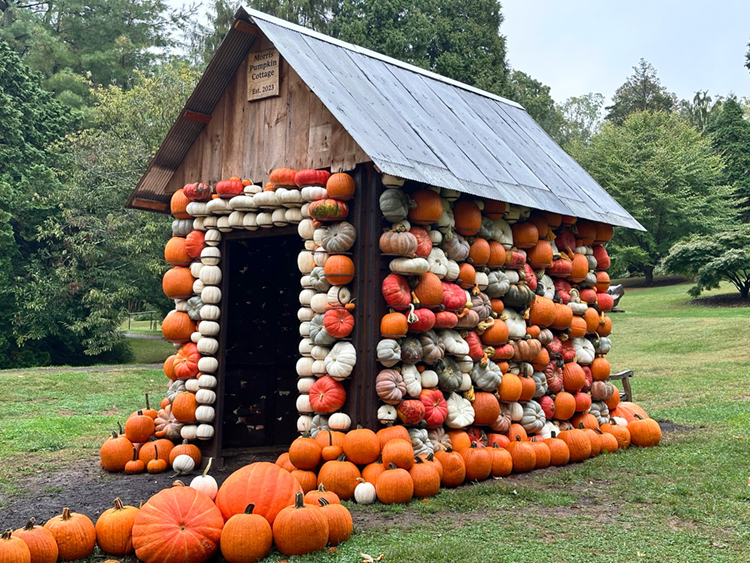 caption: The Morris Pumpkin Cottage is a 100-square-foot exhibition covered in hundreds of pumpkins. Photo by Bill Cullina.