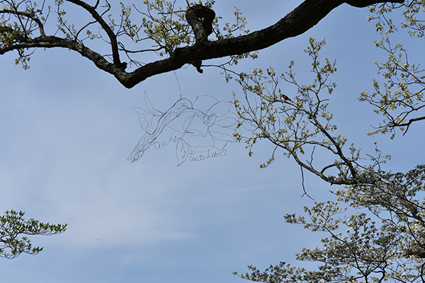 caption: Artist Reed Bmore has installed four of his wire sculptures in the trees around the Morris Arboretum. Photo Courtesy Morris Arboretum. 