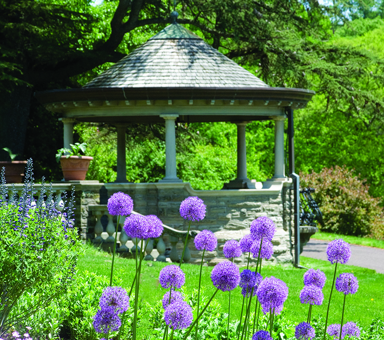 caption: The grassy area next to the Summer House below the Rose Garden at Morris Arboretum.
