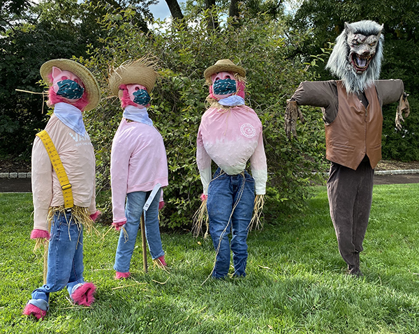 caption: Morris Arboretum’s 2020 Scarecrow Design Contest featured masks, a sign of the times.