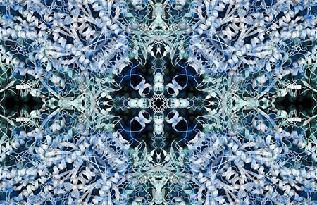 Animation created with molecular visualization