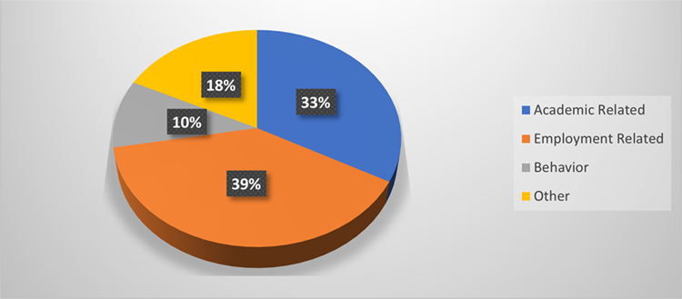 Table 2A: Summary of Vategory of Issues Presented