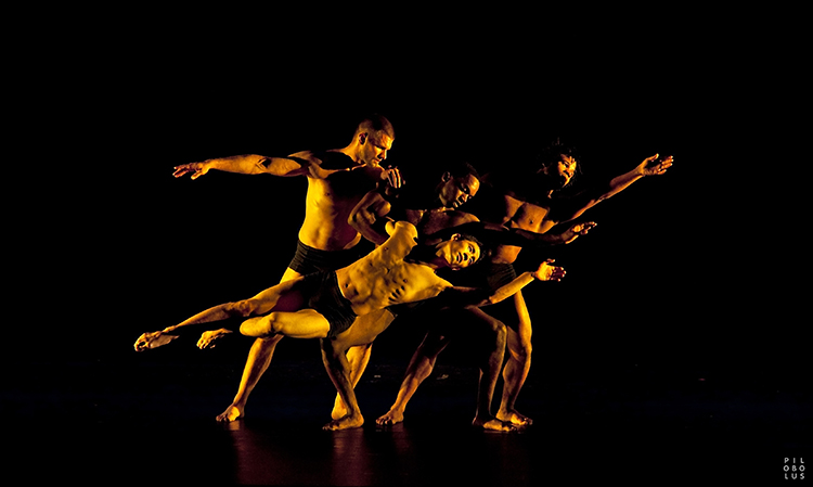 Pilobolus: re:CREATION