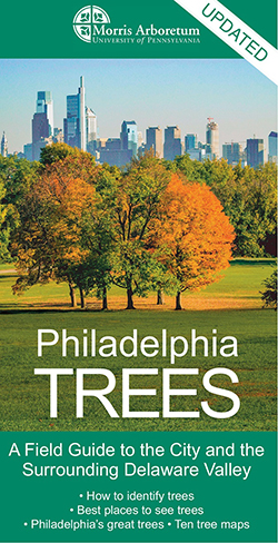 caption: Philadelphia Trees.