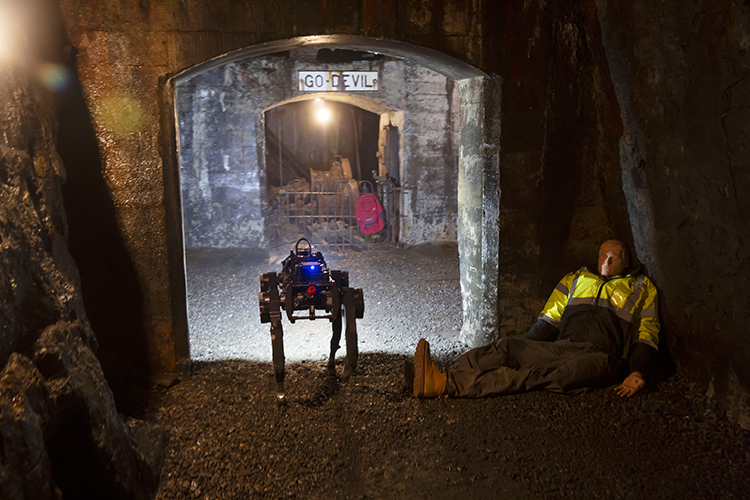 caption: Photograph Courtesy of University Communications.