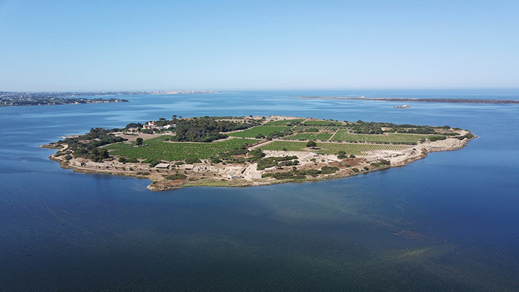 Archaeology in Action: The Shape of Punic Cities