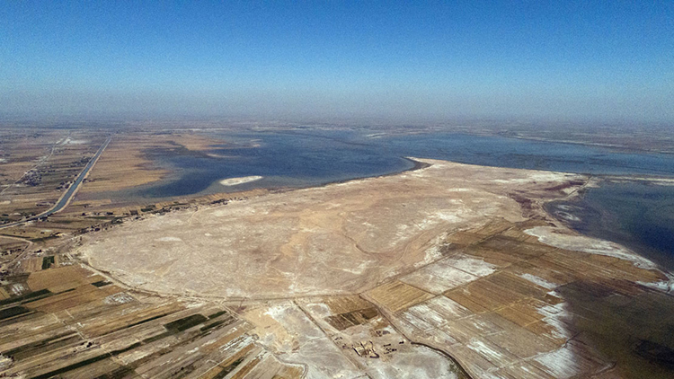 Marshland of Cities: Lagash and its Neighbors ca. 2500 BCE