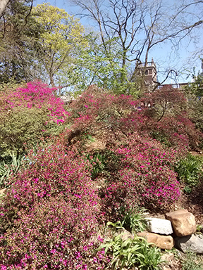 James G. Kaskey Memorial Park
