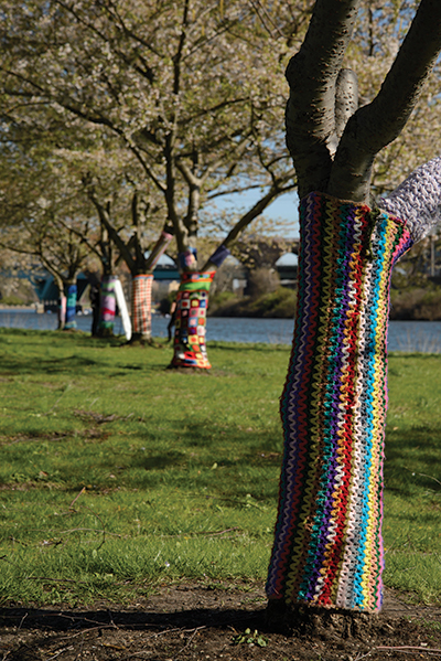 caption: Yarn pieces adorning Morris Arboretum’s iconic trees.