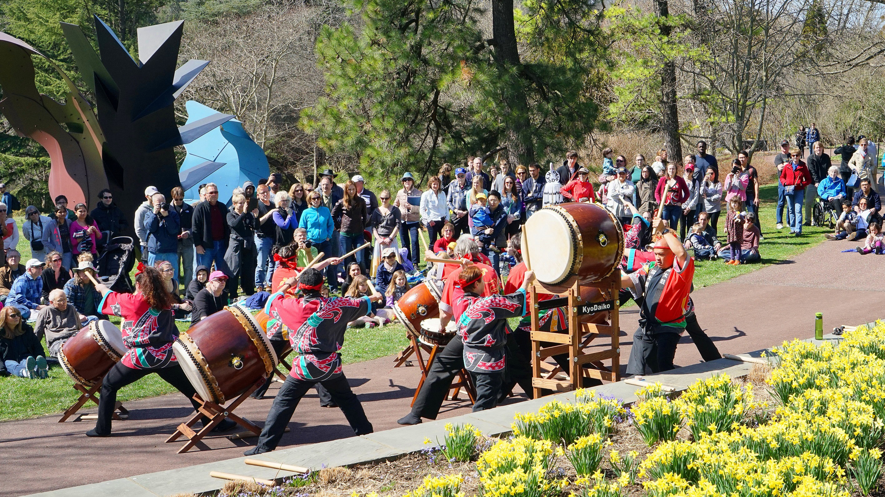 This is the alt text