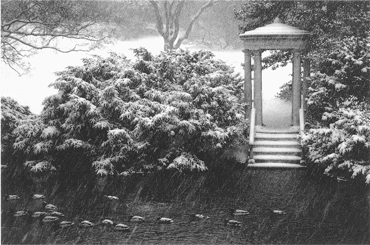 caption: Love Temple at Morris Arboretum. Photo courtesy of Morris Arboretum.