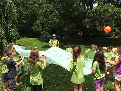 caption: At Morris Arboretum’s 2015 Summer Adventure Camp, nature lovers ages 6 to 10 get to know each other while playing the parachute game. 
