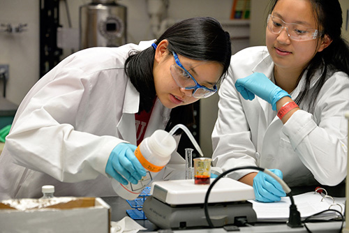 caption: Students conduct an experiment during the free Penn Summer Science Initiative