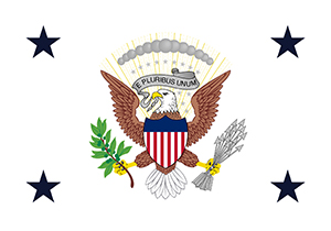 Flag of the Vice President