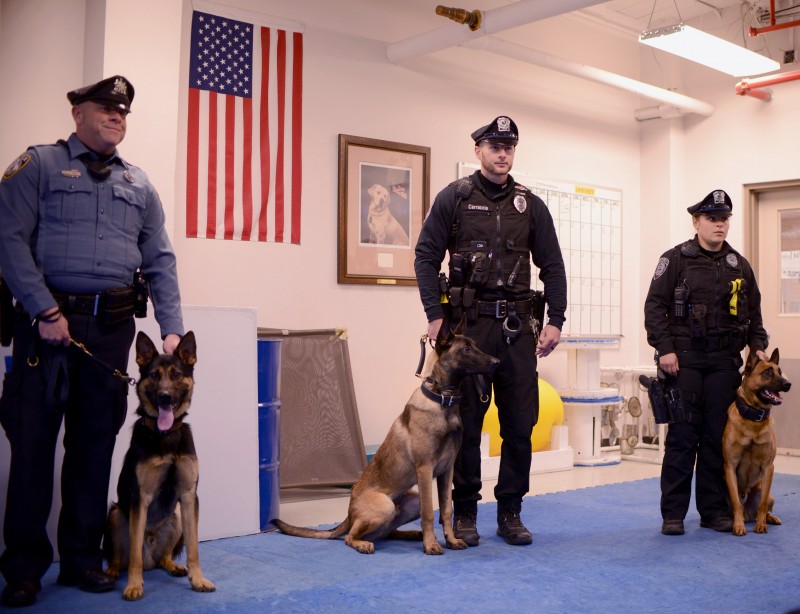 caption:Officer James Sweenery and K9 Diesel, Whitemarsh Township Police Department; Officer Mike Carraccio and K9 Tico and Officer Tanya Spurley and K9 Kilo of the SEPTA Transit Police Department